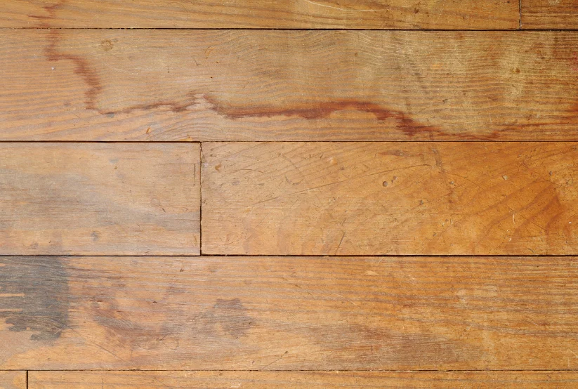 how-to-maintain-timber-floors-in-perth